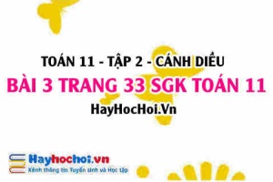 Bài 3 trang 33 Toán 11 tập 2 Cánh Diều